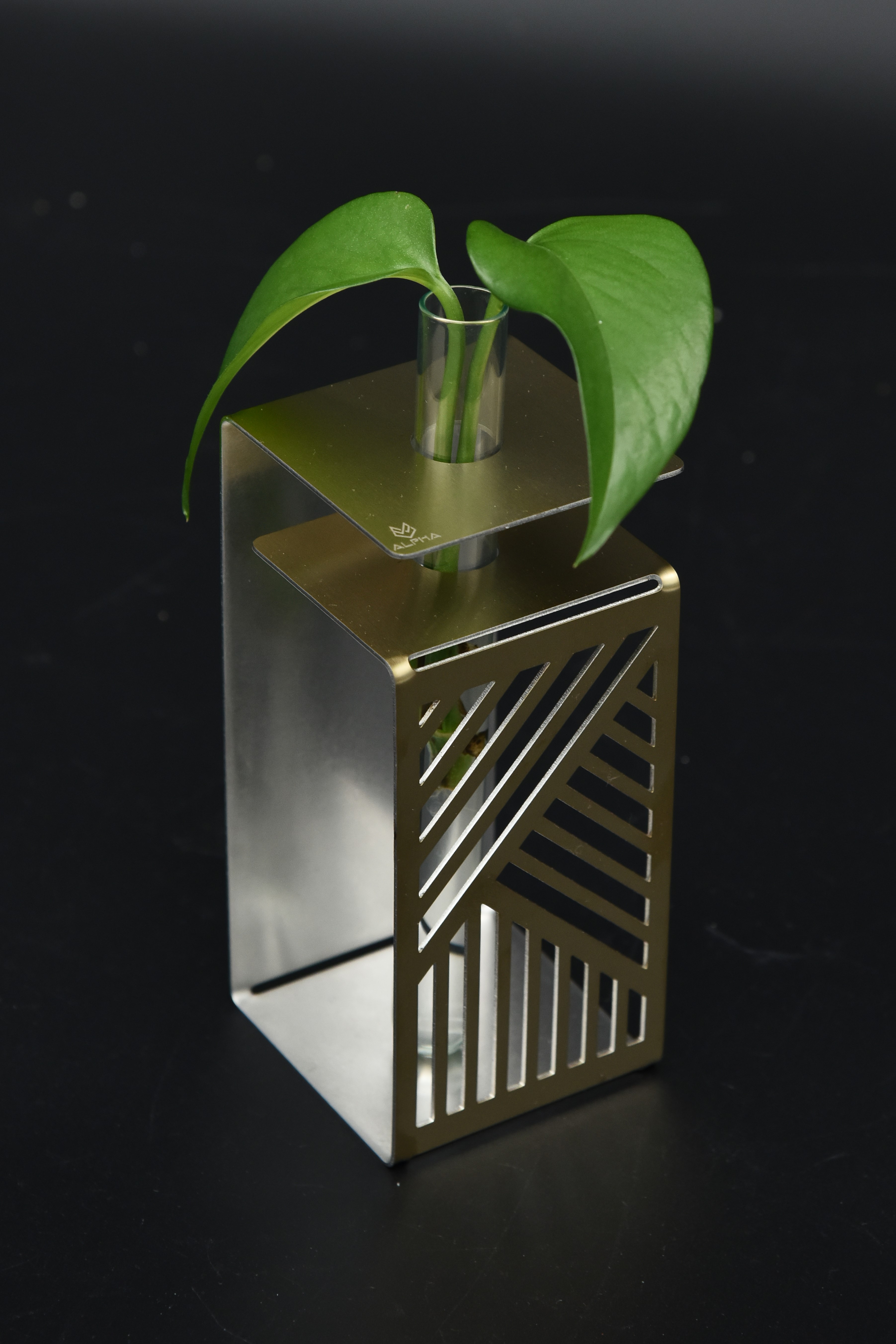 گلدان استیل آلفا مدل سارا وکلارا (گیفت تبلیغاتی)